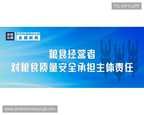 探索304am永利集平台的最新优惠活动与安全保障措施