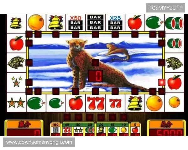 吃角子老虎机有哪些常见的游戏类型及其特色介绍 吃角子老虎机有哪些常见的游戏类型及其特色介绍