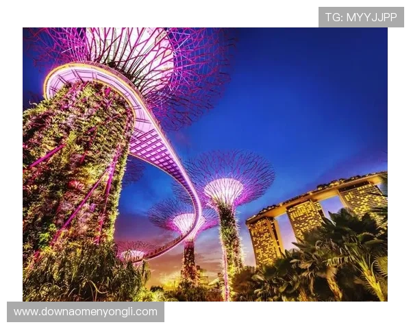 澳门十六浦夜生活指南：夜场娱乐、特色餐厅与精彩表演全攻略