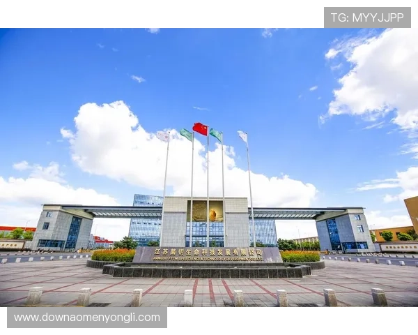 澳门博彩控股有限公司在澳门经济中的核心作用与行业影响力分析