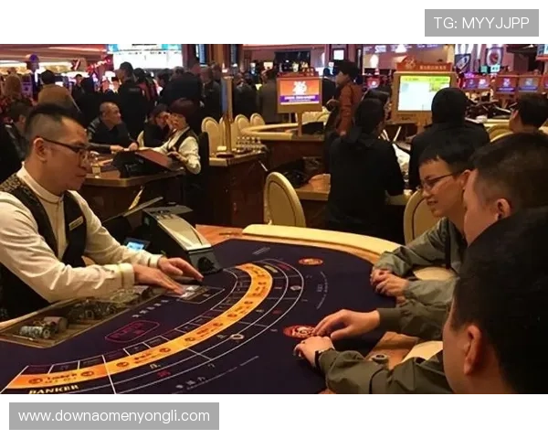 澳门赌场年龄结构研究：各年龄段玩家的消费能力与风险偏好分析