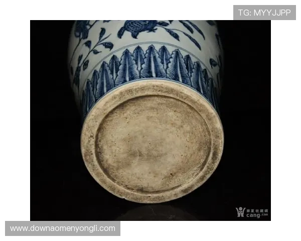 永乐高官网地址官方最新版本，确保用户安全访问的详细指南